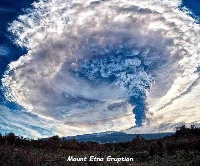 Daily Picdump [NEW YEAR EDITION]