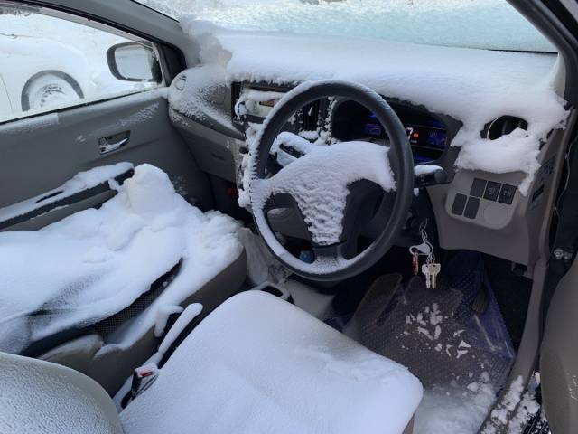 Daily Picdump [NEW YEAR EDITION]