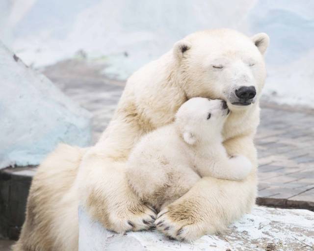 Daily Picdump [NEW YEAR EDITION]