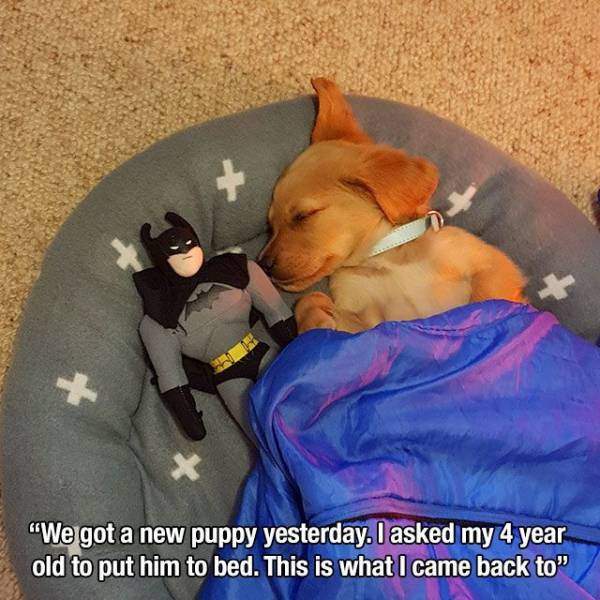 Daily Picdump [NEW YEAR EDITION]