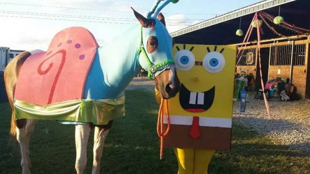 Daily Picdump [NEW YEAR EDITION]