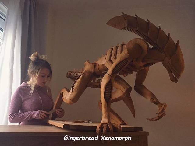 Daily Picdump [NEW YEAR EDITION]