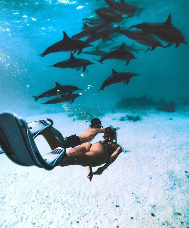 Daily Picdump [NEW YEAR EDITION]