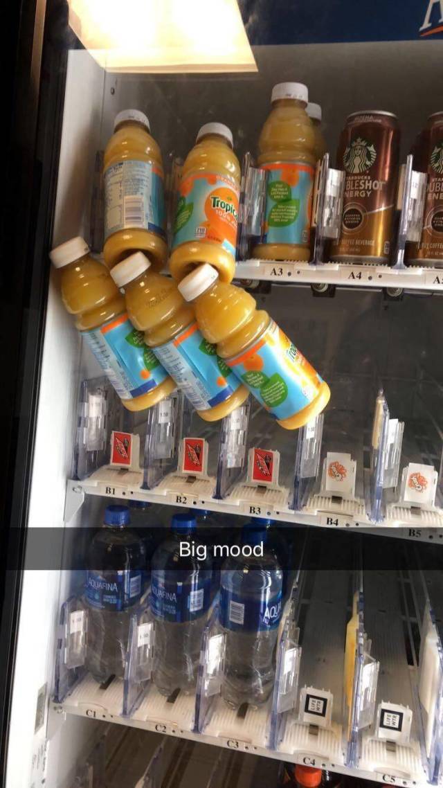 Daily Picdump [NEW YEAR EDITION]