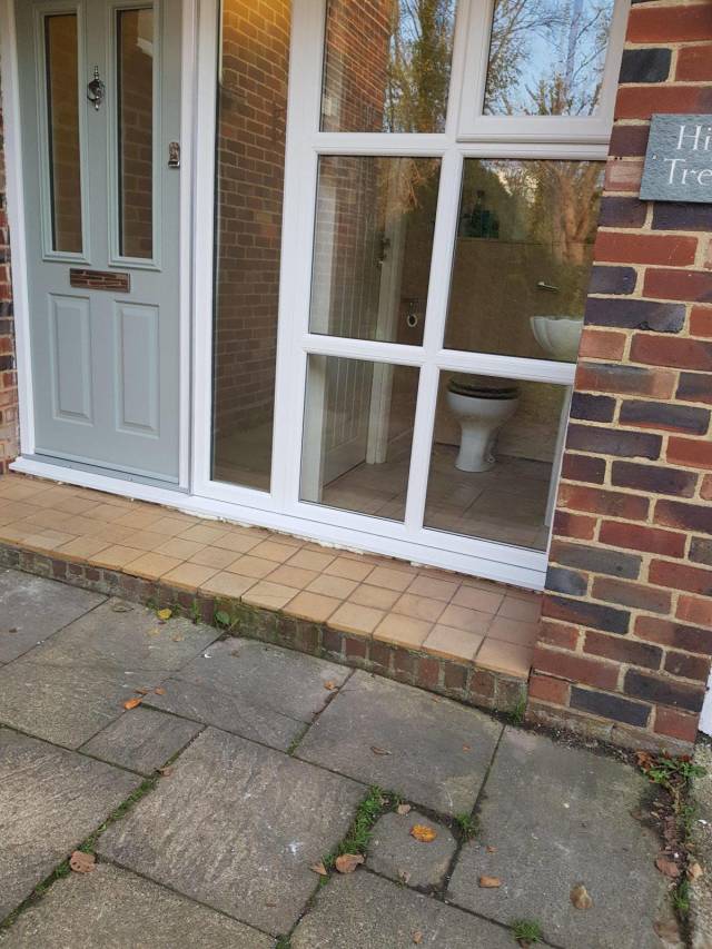 Daily Picdump [NEW YEAR EDITION]