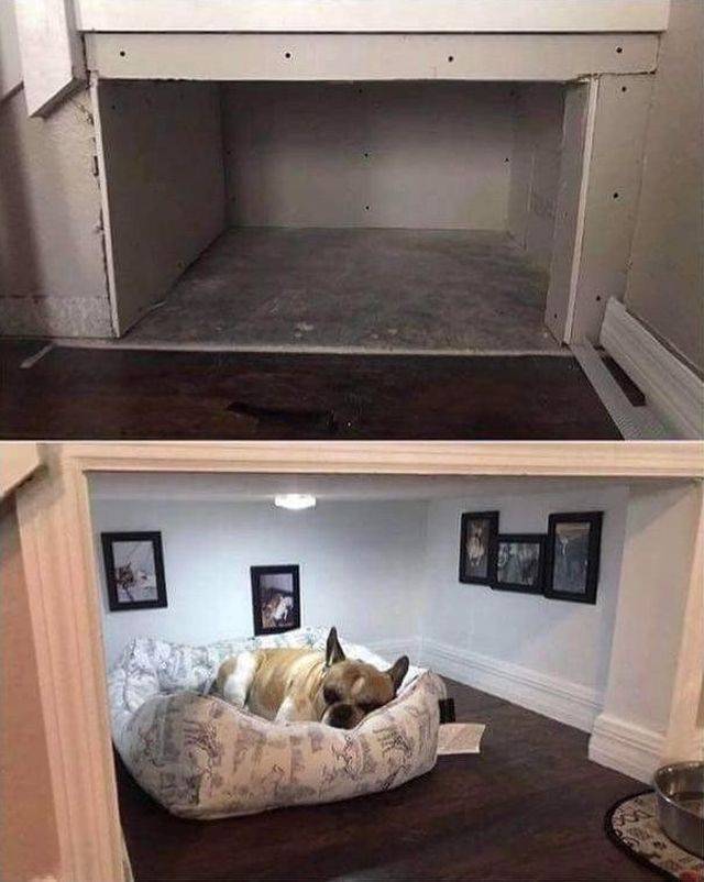 Daily Picdump [NEW YEAR EDITION]