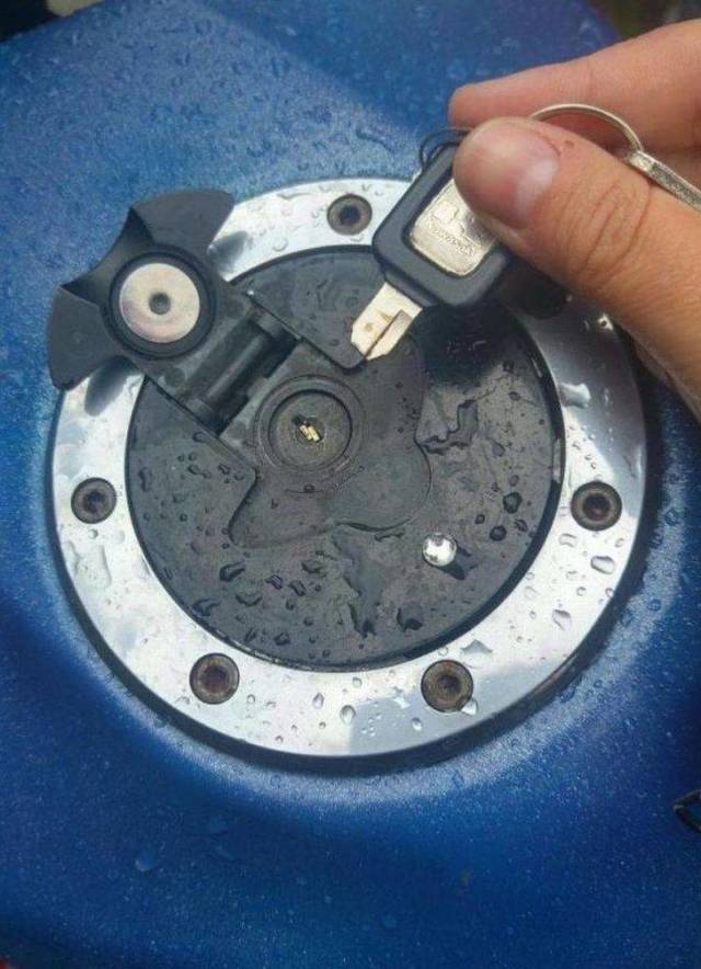 Daily Picdump [NEW YEAR EDITION]