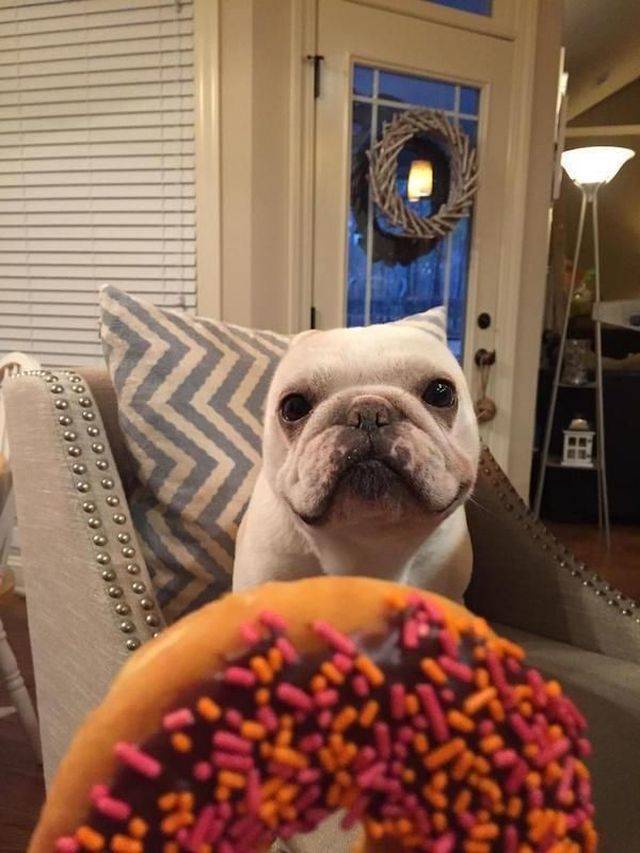 Daily Picdump [NEW YEAR EDITION]