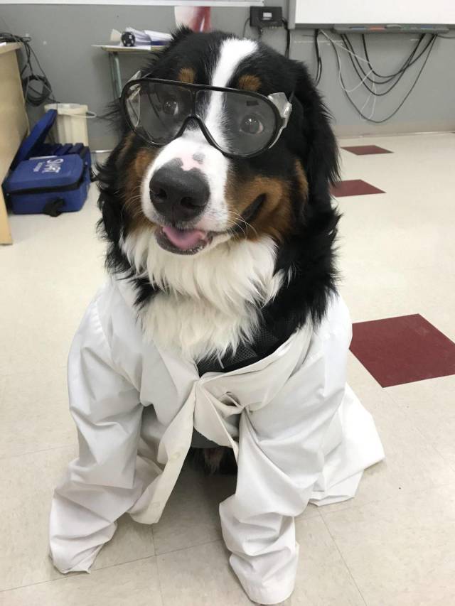 Daily Picdump [NEW YEAR EDITION]