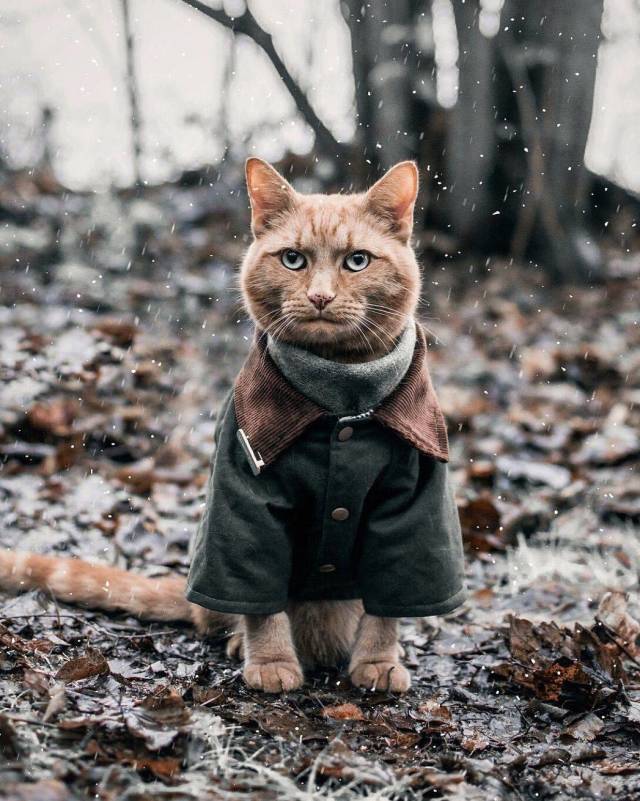 Daily Picdump [NEW YEAR EDITION]