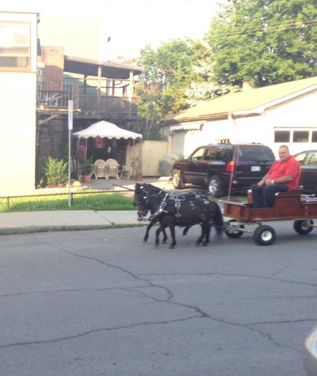 Daily Picdump [NEW YEAR EDITION]