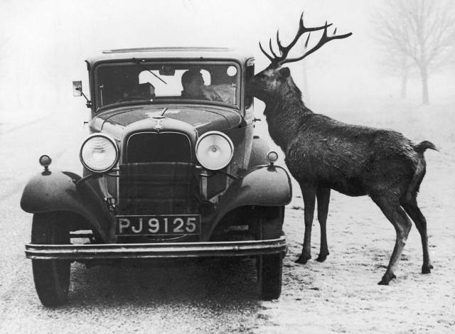 daily picdump 100 pics 31.html - 100 HD Photos | Premium Gallery 2019