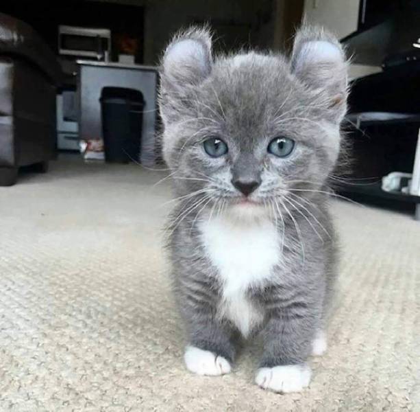 daily picdump 100 pics 31.html - 100 HD Photos | Premium Gallery 2019