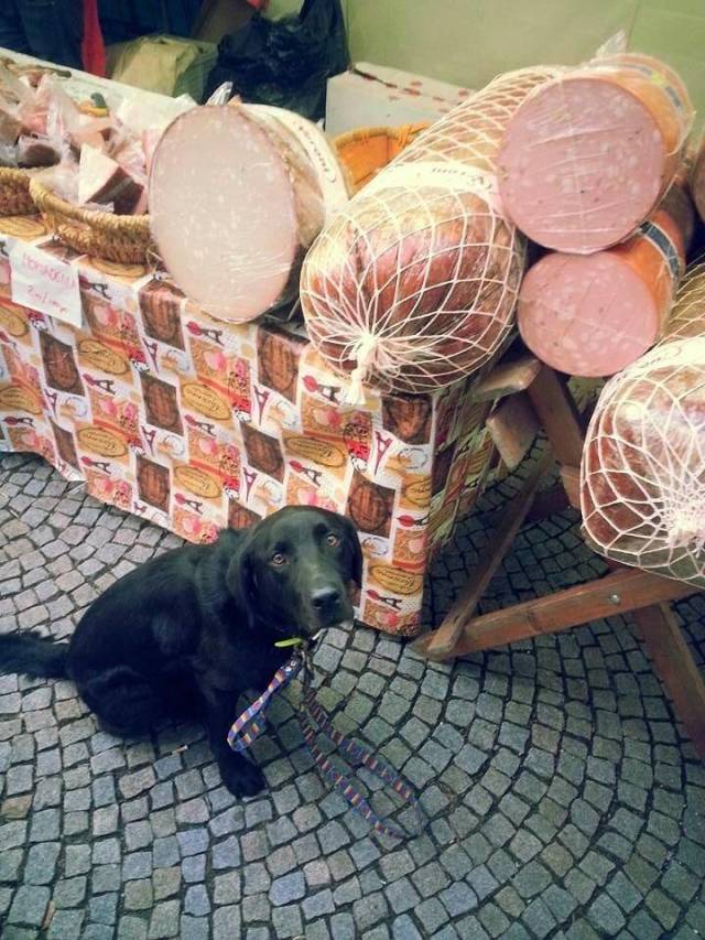 daily picdump 100 pics 31.html - 100 HD Photos | Premium Gallery 2019