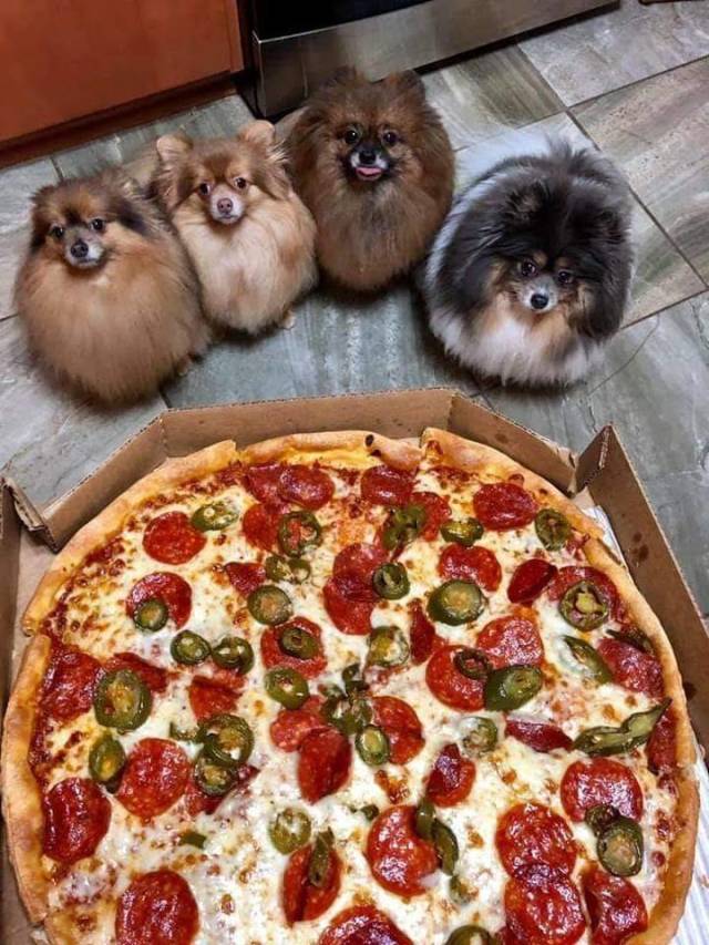 daily picdump 100 pics 31.html - 100 HD Photos | Premium Gallery 2019