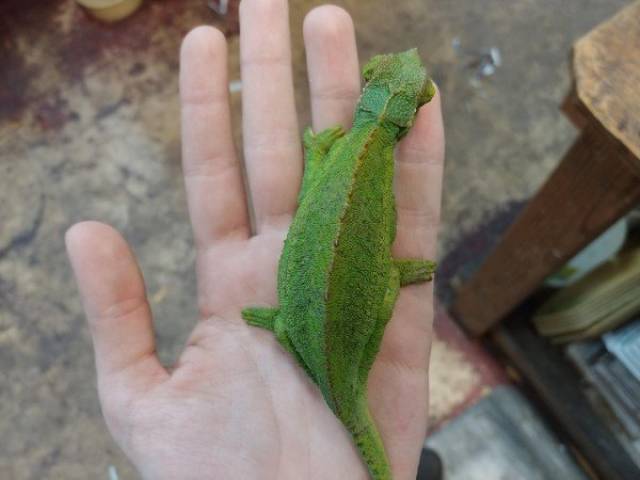 top 100 interesting pics of the year 2019.html - 1 HD Photos | Premium Gallery 2019