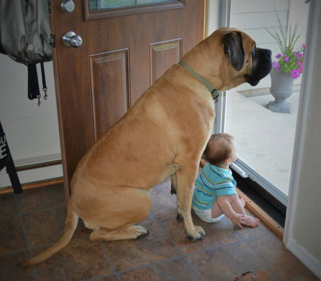 morning picdump 51 pics 17.html - 51 HD Photos | Premium Gallery 2019