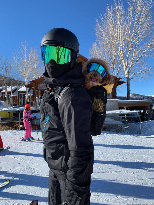 morning picdump 51 pics 17.html - 51 HD Photos | Premium Gallery 2019