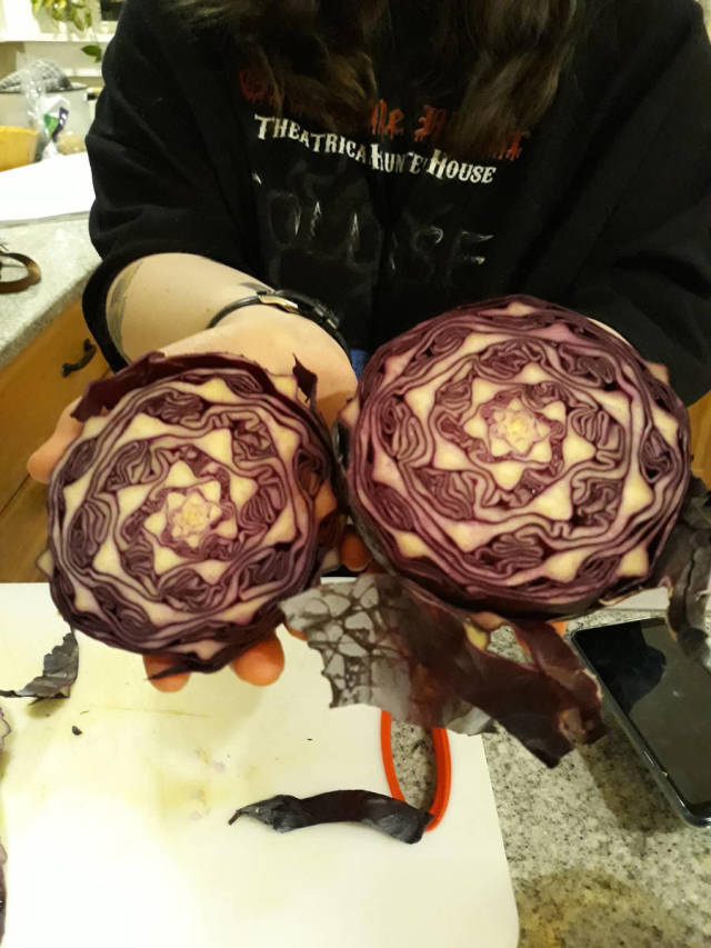 morning picdump 51 pics 17.html - 51 HD Photos | Premium Gallery 2019