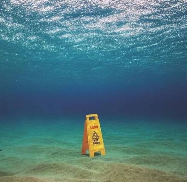 daily picdump 98 pics 36.html - 98 HD Photos | Premium Gallery 2019