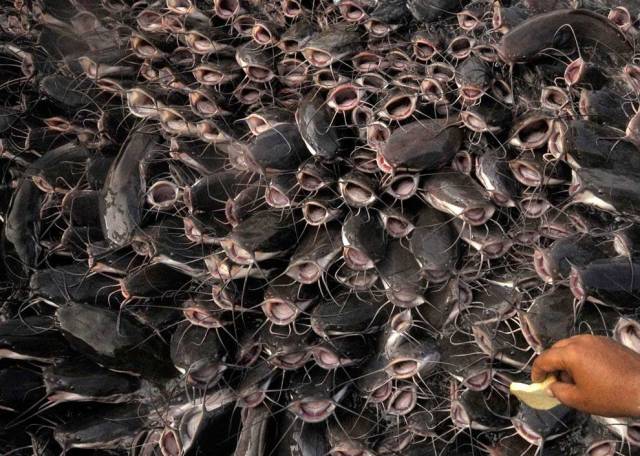 daily picdump 98 pics 36.html - 98 HD Photos | Premium Gallery 2019