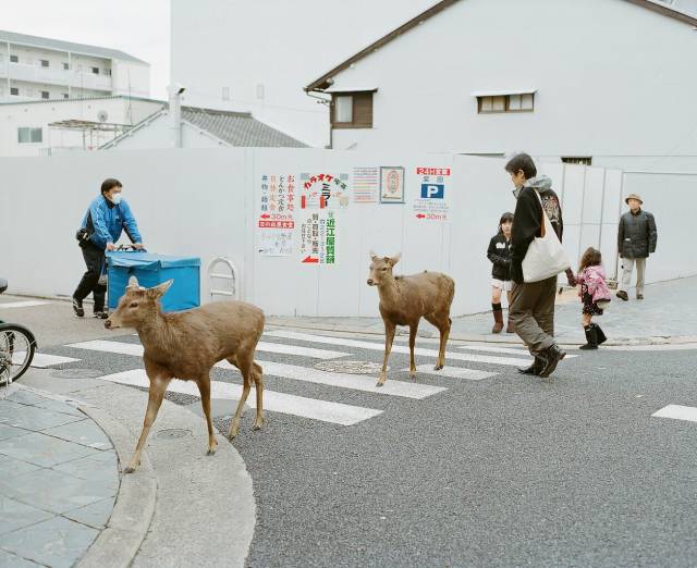 daily picdump 98 pics 36.html - 98 HD Photos | Premium Gallery 2019