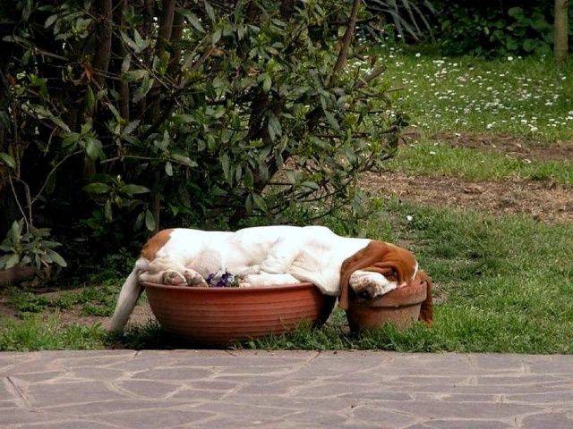 daily picdump 98 pics 36.html - 98 HD Photos | Premium Gallery 2019