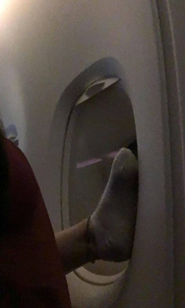 daily picdump 98 pics 36.html - 98 HD Photos | Premium Gallery 2019