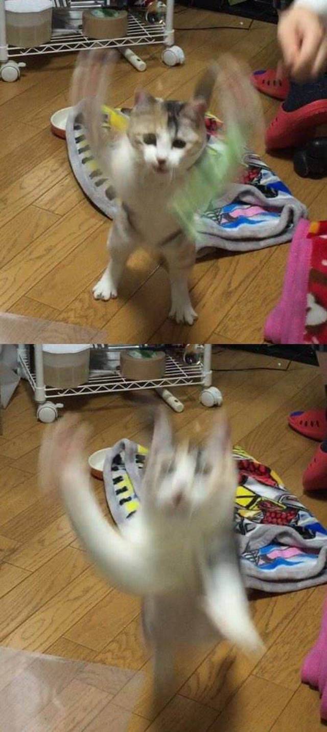 daily picdump 98 pics 36.html - 98 HD Photos | Premium Gallery 2019