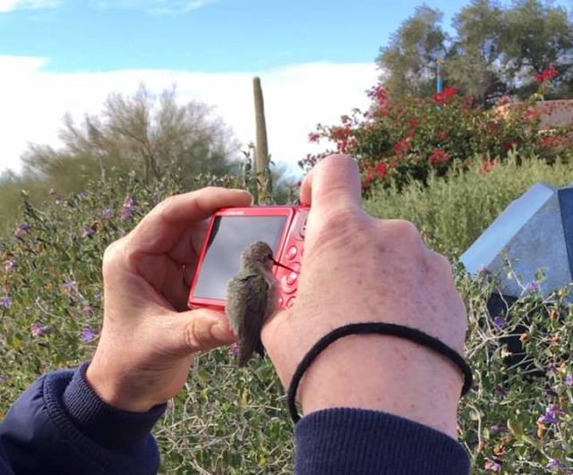 morning picdump 52 pics 20.html - 52 HD Photos | Premium Gallery 2019