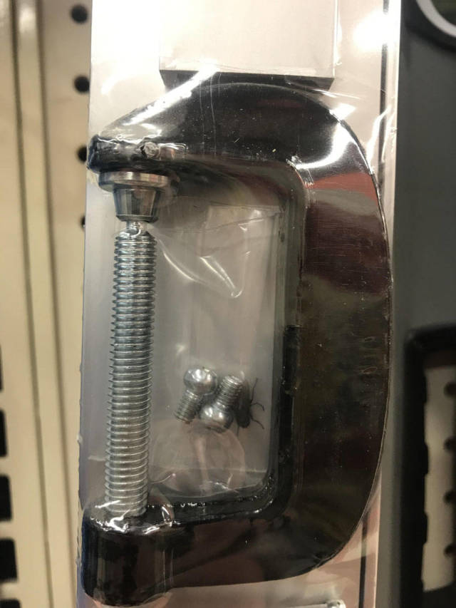 morning picdump 52 pics 20.html - 52 HD Photos | Premium Gallery 2019