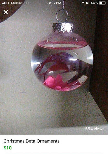 Too Much Cringe For A Single Post