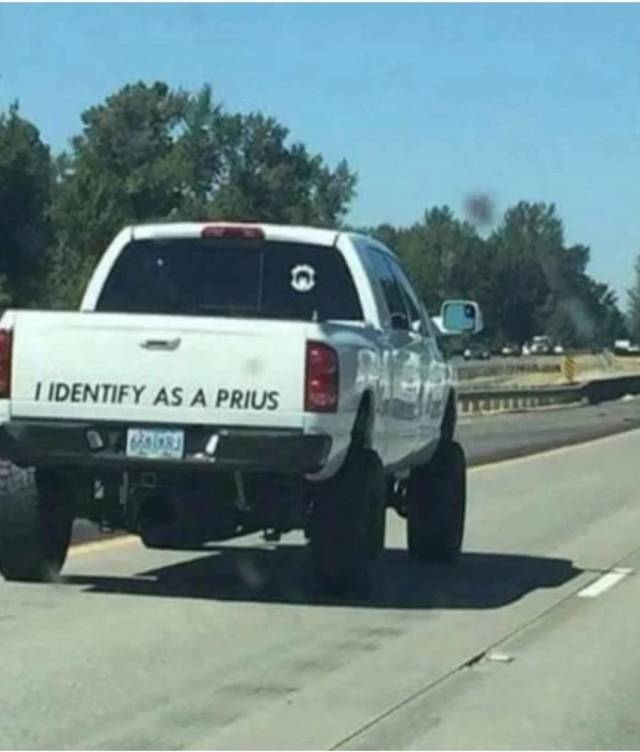 daily picdump weekend edition 52 pics 2.html - 52 HD Photos | Premium Gallery 2019