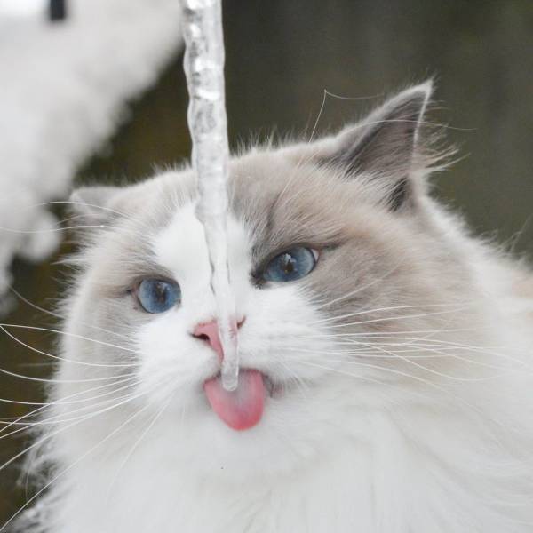 daily picdump 96 pics 45.html - 96 HD Photos | Premium Gallery 2019