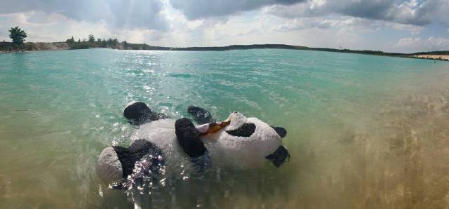 daily picdump 96 pics 45.html - 96 HD Photos | Premium Gallery 2019