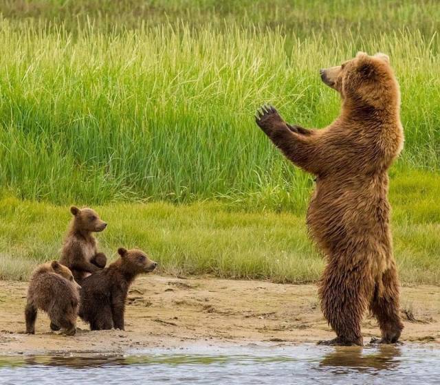 daily picdump 96 pics 45.html - 96 HD Photos | Premium Gallery 2019