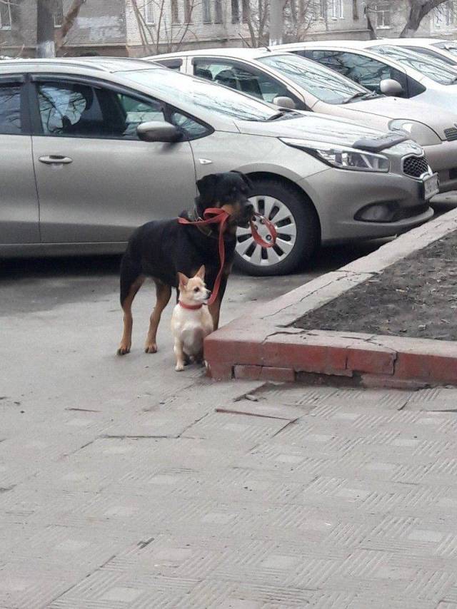 daily picdump 96 pics 45.html - 96 HD Photos | Premium Gallery 2019