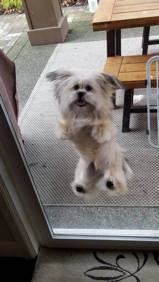 daily picdump 96 pics 45.html - 96 HD Photos | Premium Gallery 2019