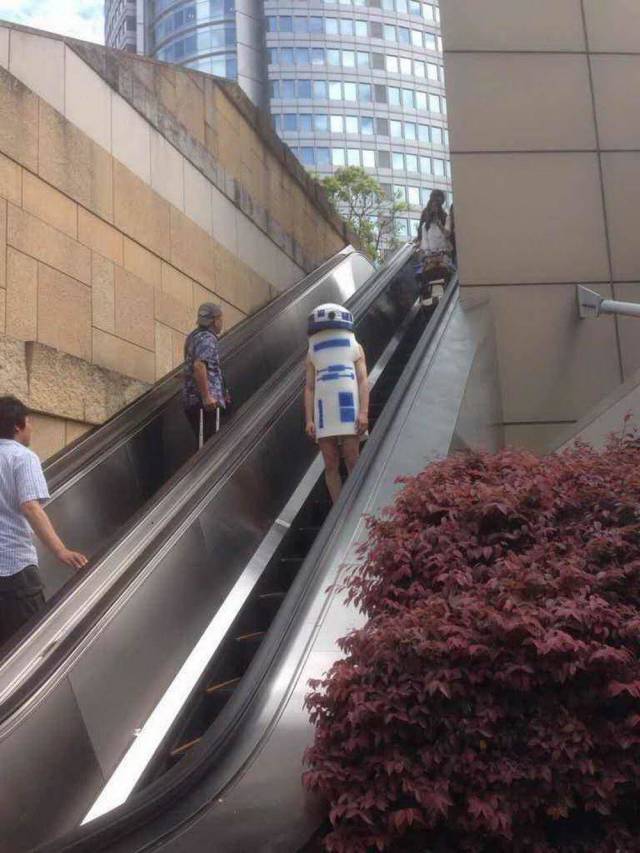 daily picdump 96 pics 45.html - 96 HD Photos | Premium Gallery 2019