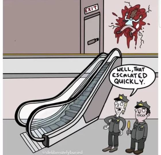 top 250 funny pics of the year 2019.html - 1 HD Photos | Premium Gallery 2019