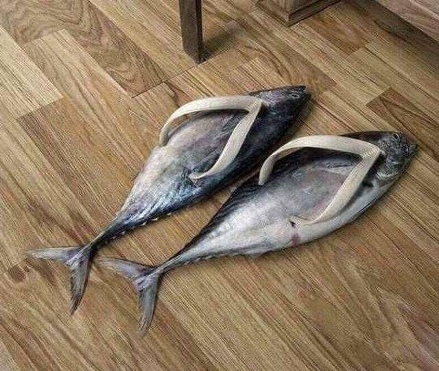 Hard-to-explain WTF Photos