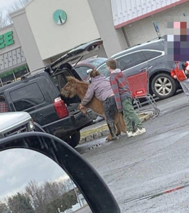 Hard-to-explain WTF Photos