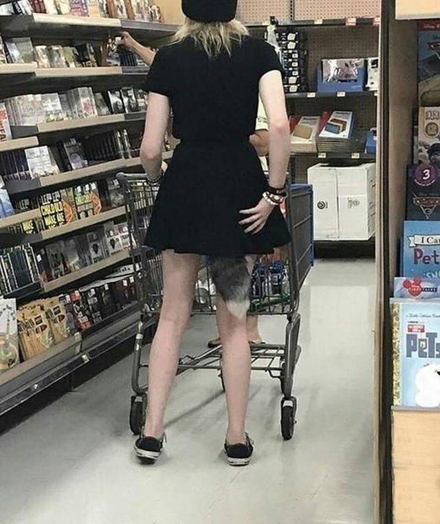 Hard-to-explain WTF Photos