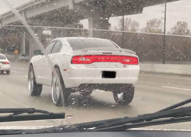 daily picdump 87 pics 19.html - 87 HD Photos | Premium Gallery 2019