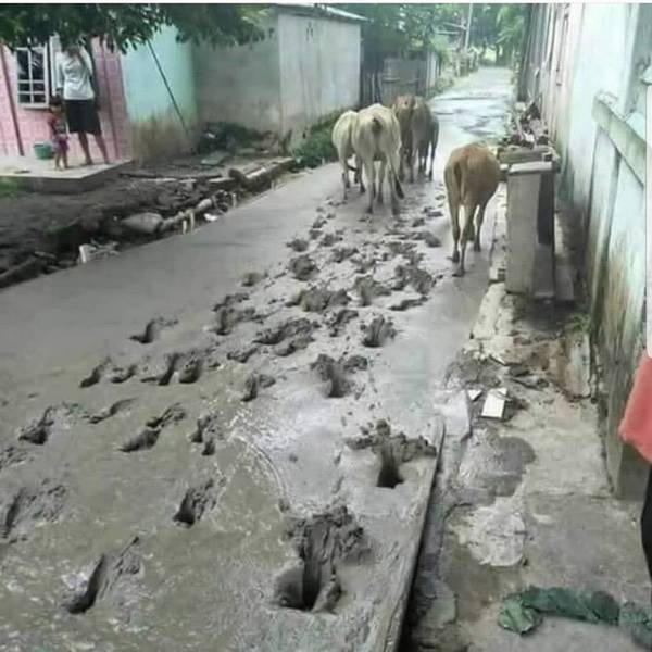 daily picdump 87 pics 19.html - 87 HD Photos | Premium Gallery 2019