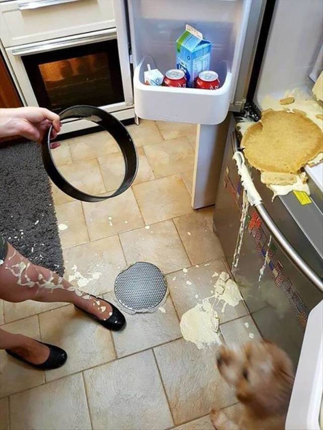 daily picdump 87 pics 19.html - 87 HD Photos | Premium Gallery 2019