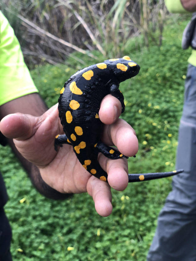 daily picdump 87 pics 19.html - 87 HD Photos | Premium Gallery 2019