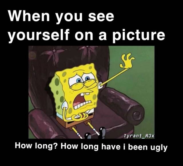 funny picdump 57 pics 2.html - 57 HD Photos | Premium Gallery 2019