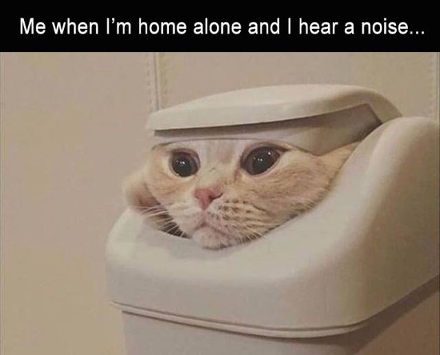 funny picdump 57 pics 2.html - 57 HD Photos | Premium Gallery 2019