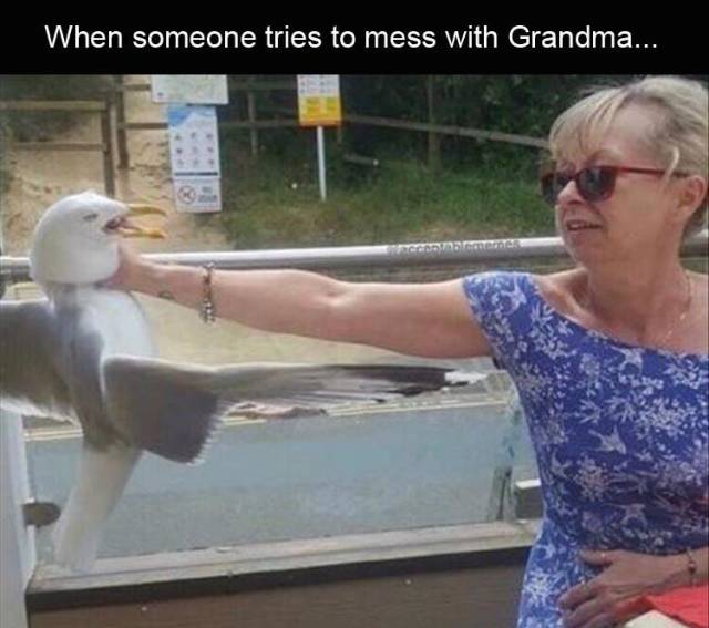 funny picdump 57 pics 2.html - 57 HD Photos | Premium Gallery 2019